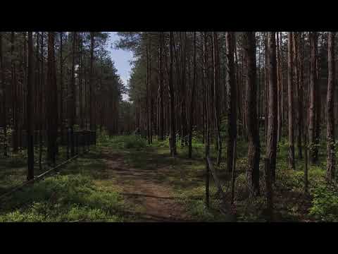 Żarki Letnisko ul. Kąpielowa