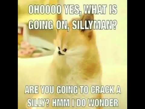 WHAT IS GOING ON SILLYMAN?