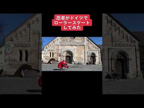 ヨーロッパブッポウソウ (Coracias garrulus)。若くて大人。