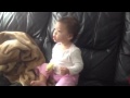 Daniel Tiger S Neighborhood