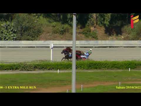 Prova di qualifica del 29 ottobre 2022 - 2 Anni - Metri 2000