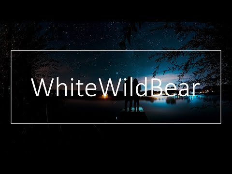 Russian Future Garage vol. 8 (Whitewildbear)