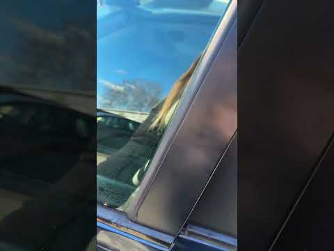 фото peugeot 406 i 0