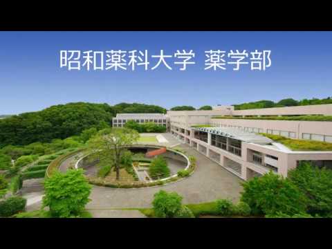 薬学科 昭和薬科大学 大学紹介