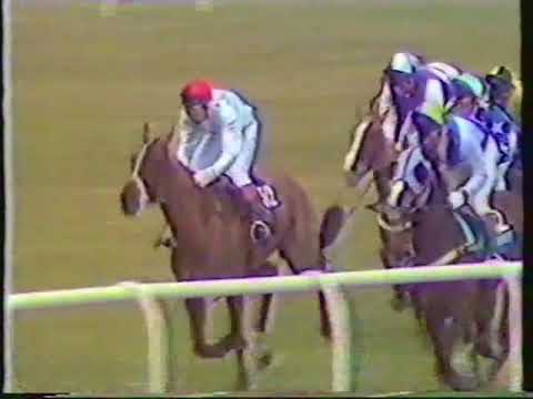 1986 Daily Express Triumph Hurdle - Cheltenham 13-03-1986