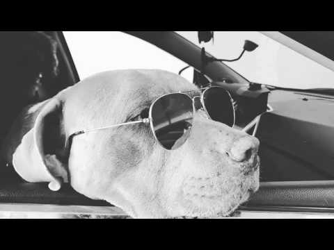 Stuuks - Higher (Original Mix)