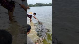 Download lagu Bagerhat Khan Jahan Ali Mazar Crocodile #viralvideo #mehedihasantopu #crocodile #dholapahar mp3 Download lagu Bagerhat Khan Jahan Ali Mazar Crocodile #viralvideo #mehedihasantopu #crocodile #dholapahar mp3