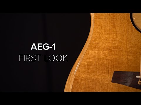Baggs AEG-1 Acoustic-Electric Guitar - Sunburst image 8