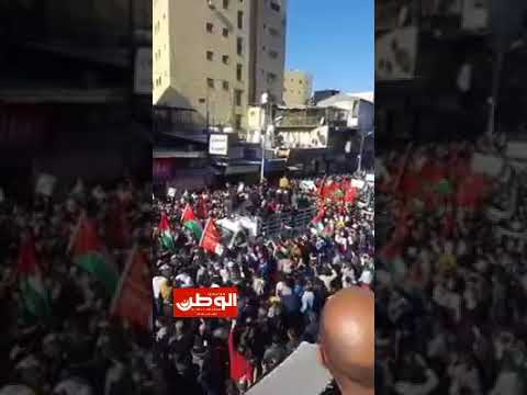 بالفيديو .. مراسلة صحيفة الوطن البحرينية في عمان.. الآلاف يتظاهرون في الأردن تنديدا بقرار ترامب حول القدس