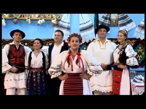 ELISABETA GUZU - Poiana plina cu flori