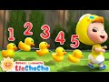 Lagu Lima Bebek Kecil | Lagu Menghitung Bebek | Lagu Anak | ☀️Lagu Anak | LiaChaCha Bahasa Indonesia