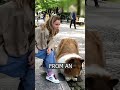 A man spent $20,000 to look like a DOG.