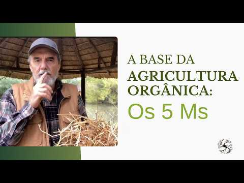 O Segredo do Solo Fértil | Conheça os 5 Ms da Agricultura Orgânica
