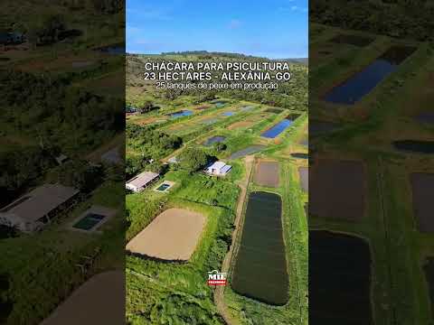 Chácara 23 hectares para piscicultura com 25 tanques para peixe - Alexânia-GO #pisicultura #agro