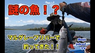 DJ fishingはオーストラリア ケアンズ在住韓国人ダイビングインストラクターの釣りチャンネルです!よろしくお願いします!