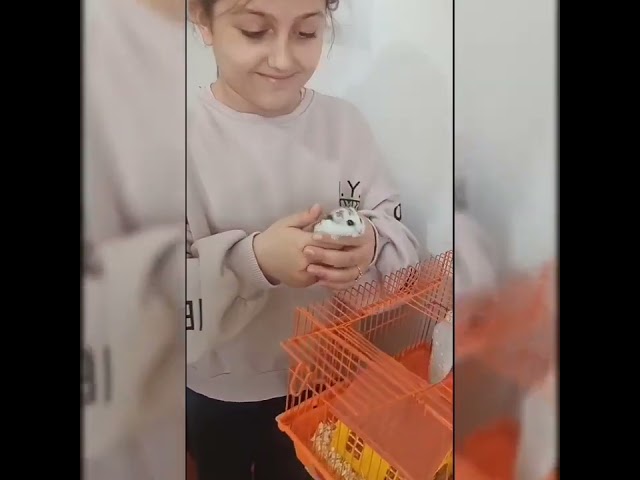 Объединение "Юные цветоводы"- ПДО Абдулалиева М.Ш.