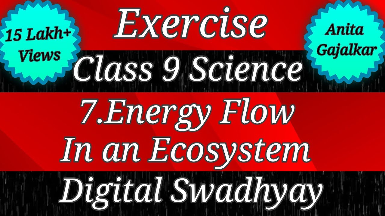 Watch video Exercise class 9 science chapter 7 energy flow in an ecosystem । Question answer । Workshop । Std 9 Now Exercise class 9 science chapter 7 energy flow in an ecosystem । Question answer । Workshop । Std 9