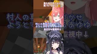 村人の声真似であかぴゃを監視するあゆゆ【千凛あゆむ/獅子堂あかり/にじさんじ/切り抜き】
