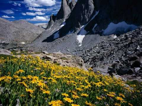 Days To Come - Dan Fogelberg
