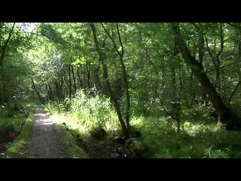 MongoTV_574 - Del 2 - Fede Johns Depri Gåtur Fredag Den 4.September 2015 Til Frederiksdal