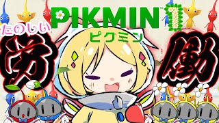【激ムズ！ピクミン１】絶滅で罰ゲーム！遭難１１日目～【ホロライブ/アキ・ローゼンタール】