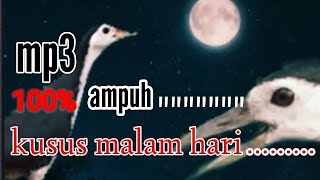 Download lagu suara ruak ruak KUSUS MALAM ampuh /bahaya play digunakan pada siang hari mp3 Download lagu suara ruak ruak KUSUS MALAM ampuh /bahaya play digunakan pada siang hari mp3