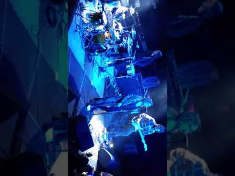 Helloseahorse (club temple Denver)