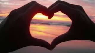 Como aguja en un pajar