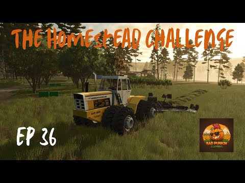 Homestead Challenge | Ep 36 | It's Time to Harvest Corn and Cut Grass