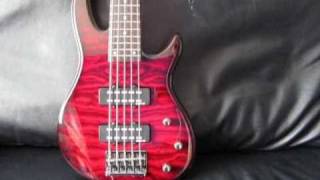 Video thumbnail for Schecter Raiden Special 5 bass by thagirion3
