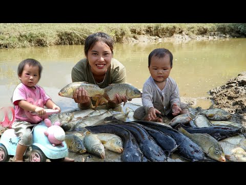 Meet a giant school of fish, catch fish and bring them to the market to sell with your baby