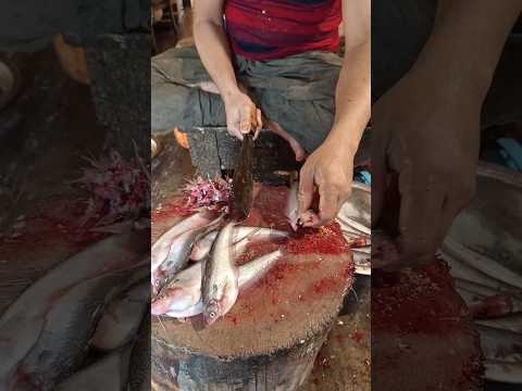 Traditional Pabda Fish Cutting #shorts #fish #fishpreparation