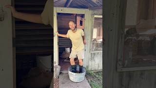 Hazelnuts and Processing the Fall Abundance!