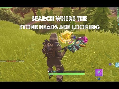 Search where the Stone Heads are Looking - Fortnite Week 6 Season 5 Challenge