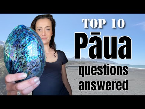 🇳🇿 What You Need to Know About Paua | Top 10 New Zealand Abalone Questions 🌊