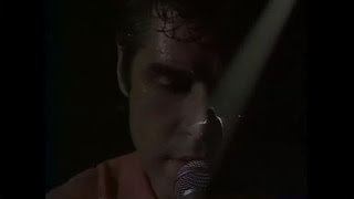 Julien Clerc - Fille du feu  (live)