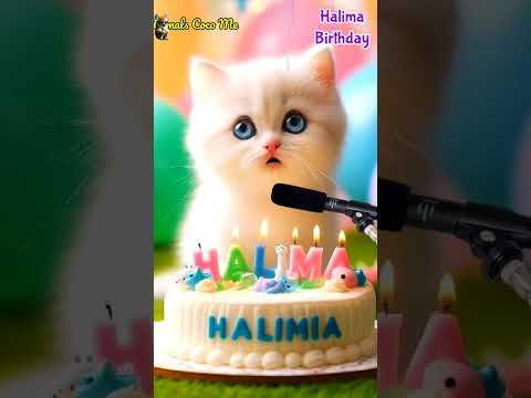 HALIMA BIRTHDAY | HAPPY BIRTHDAY SONG WITH NAMES | Adorable Cute Cat 😺 #cat #cute #happybirthday