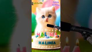Download lagu HALIMA BIRTHDAY | HAPPY BIRTHDAY SONG WITH NAMES | Adorable Cute Cat 😺 #cat #cute #happybirthday mp3 Download lagu HALIMA BIRTHDAY | HAPPY BIRTHDAY SONG WITH NAMES | Adorable Cute Cat 😺 #cat #cute #happybirthday mp3