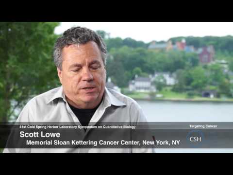 81st Symposium - Targeting Cancer - Scott Lowe