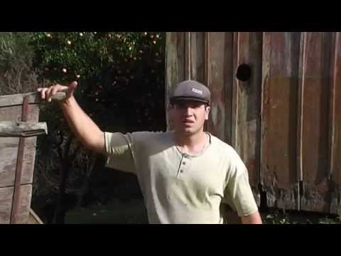 Curta gaúcho (Temática Gaúcha) cena típica