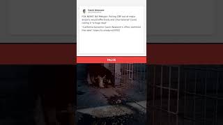 ❌ FALSE: Bill Melugin said pulling CBP out of airports would end i... #Shorts