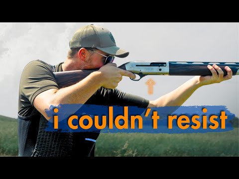 So I Bought a New Gun...