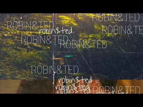 Freddisson - Robin & Ted (Official Visualizer)