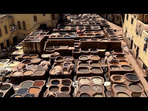 Fez, Morocco 🇲🇦 Food & Travel Vlog  | Lost in 10,000 Alleys and the iconic Chouara Tannery