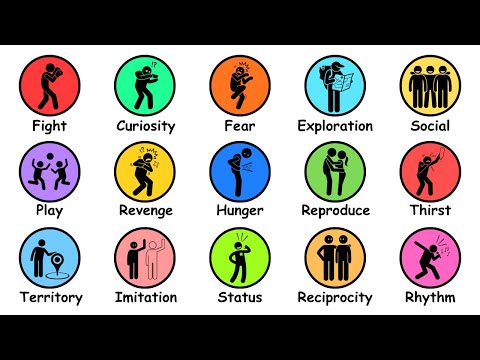 Every Human Instinct Explained in 7 Minutes
