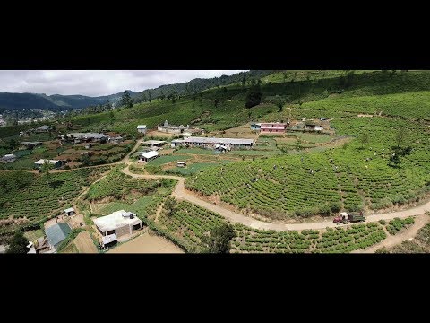 See Lanka - from the coast to the highlands (4K drone video) Video