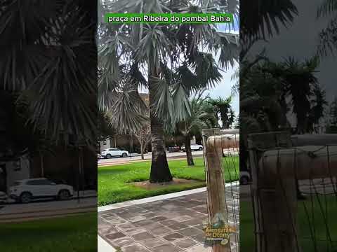 praça linda#Ribeira do pombal#Bahia@