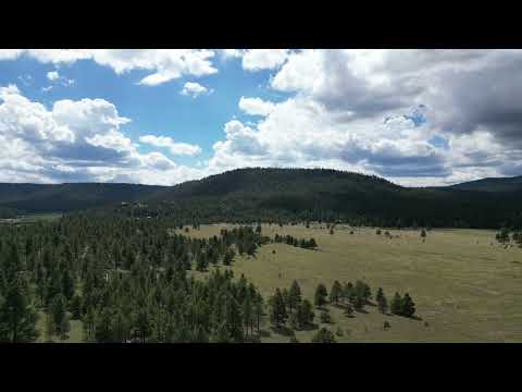 Union of Different Kinds