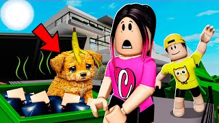 ENCONTREI UM CACHORRINHO ABANDONADO NA MANSÃO DO BROOKHAVEN! *Adotei ele?*