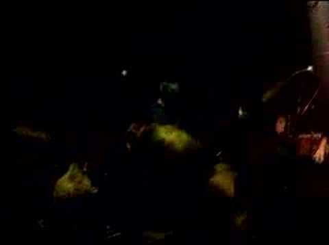 Lauf Forrest Lauf video